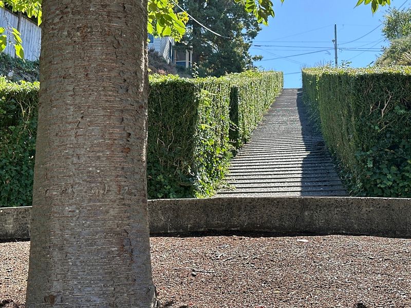 Why Locals Love This Hidden Gem