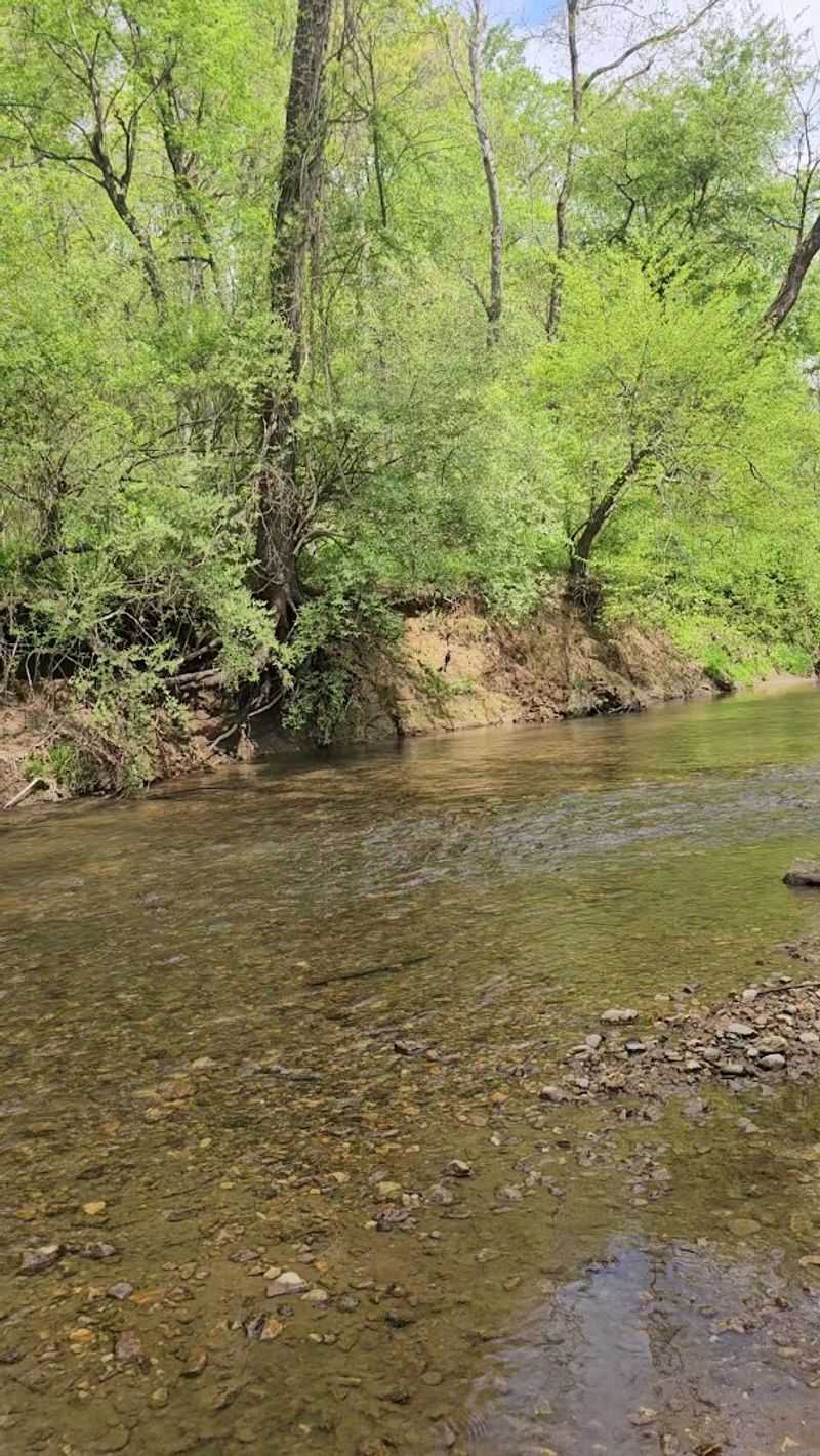 Practical Tips for Getting the Most Out of Your Visit