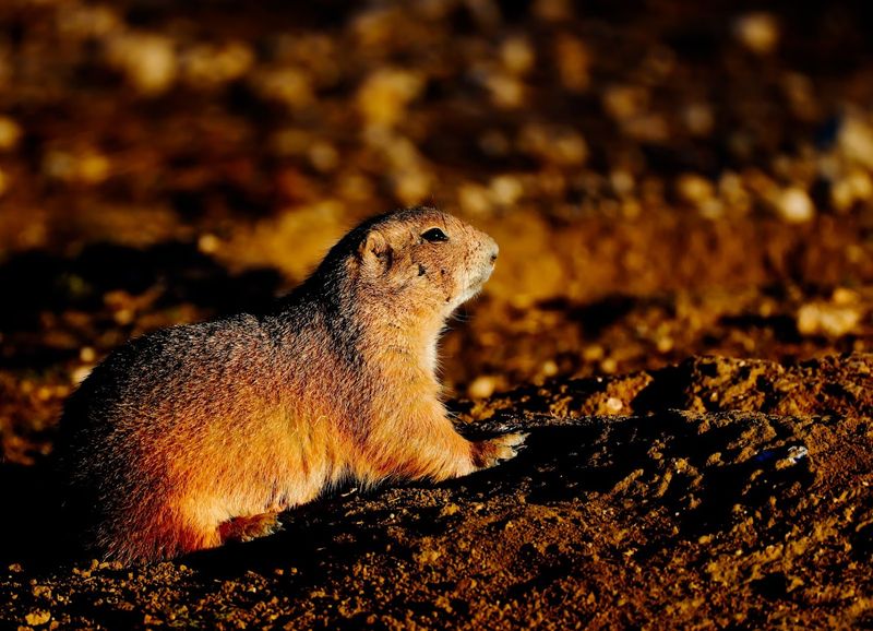 The Best Time of Day to Visit