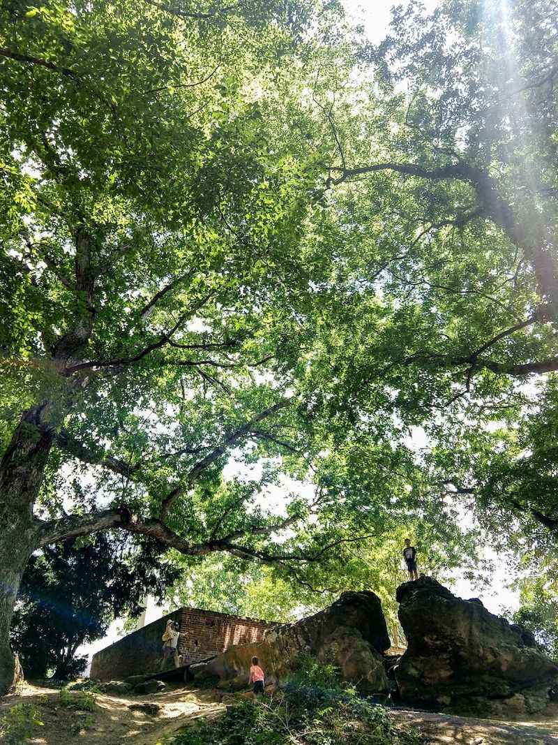 Fredericksburg as a History Destination: Why This City Delivers