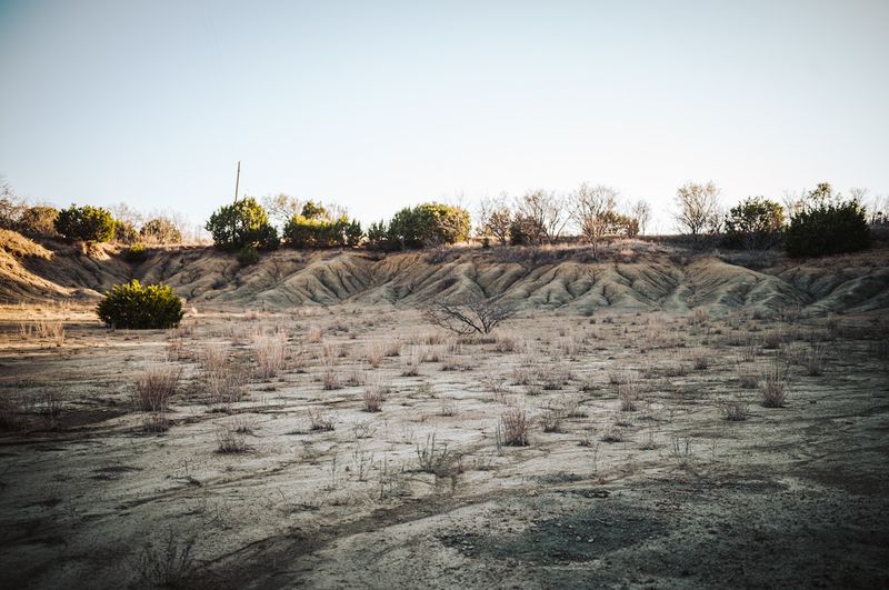 Why Mineral Wells Fossil Park Deserves a Spot on Your Texas Road Trip
