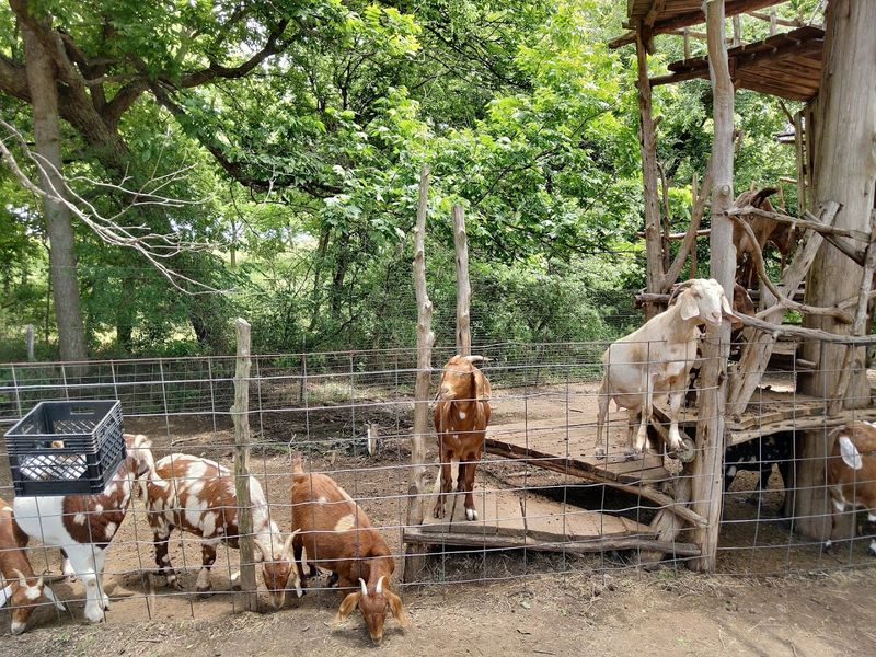 Fun Activities Beyond the Berry Rows