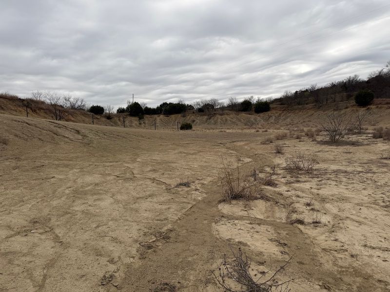 The 300 Million Year Old Story Buried in This Texas Hillside
