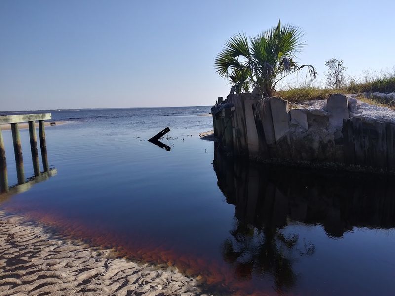 What Mexico Beach Looks Like When Red Tide Rolls In