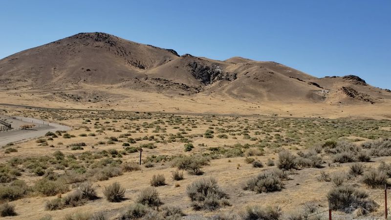 Best Times of Year to Visit Nevada's Wild Horse Country