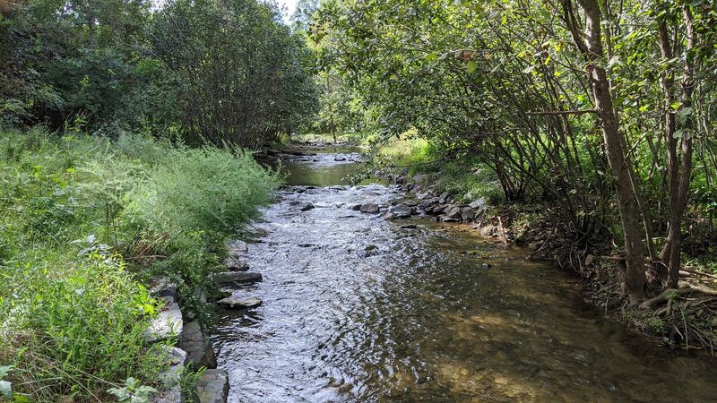 Wintergreen Resort: Four-Season Adventure in the Blue Ridge Mountains