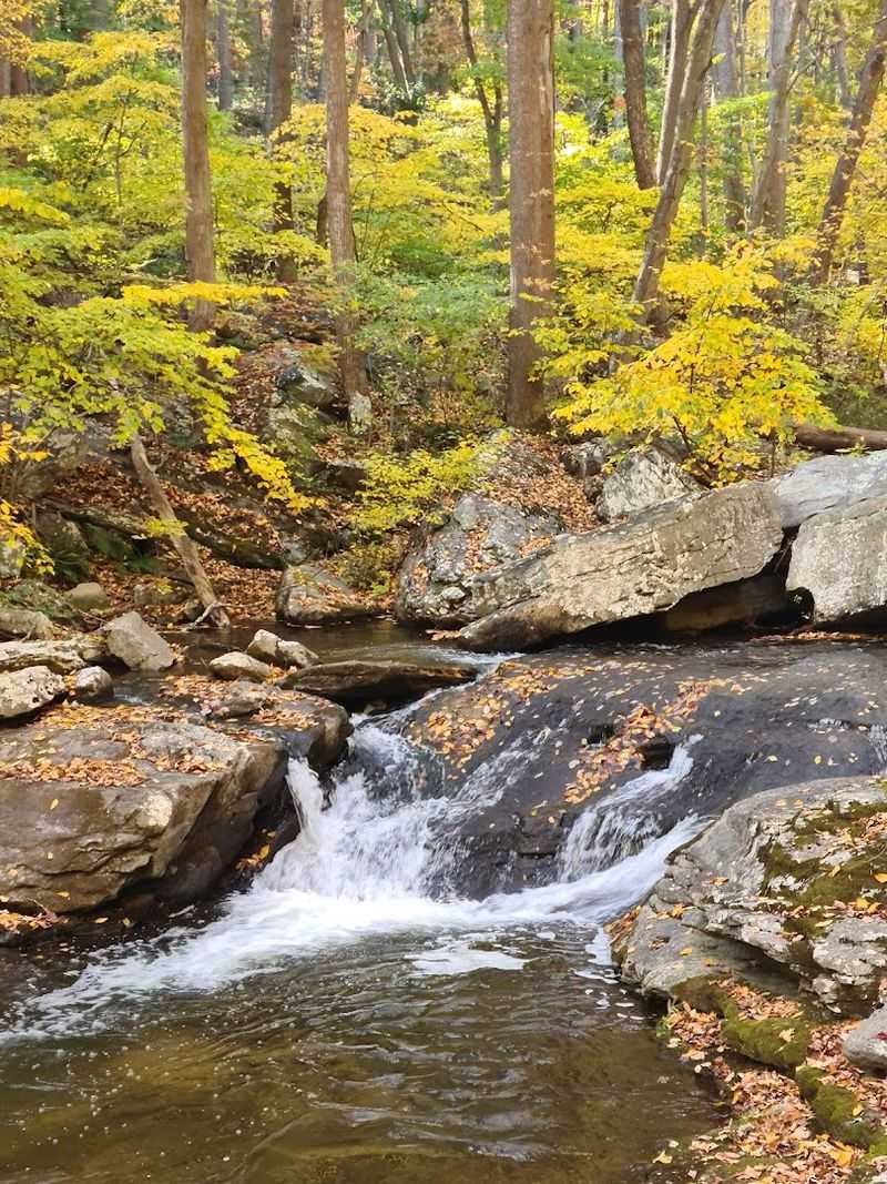 Safety Rules at the Falls: What You Need to Know Before You Go