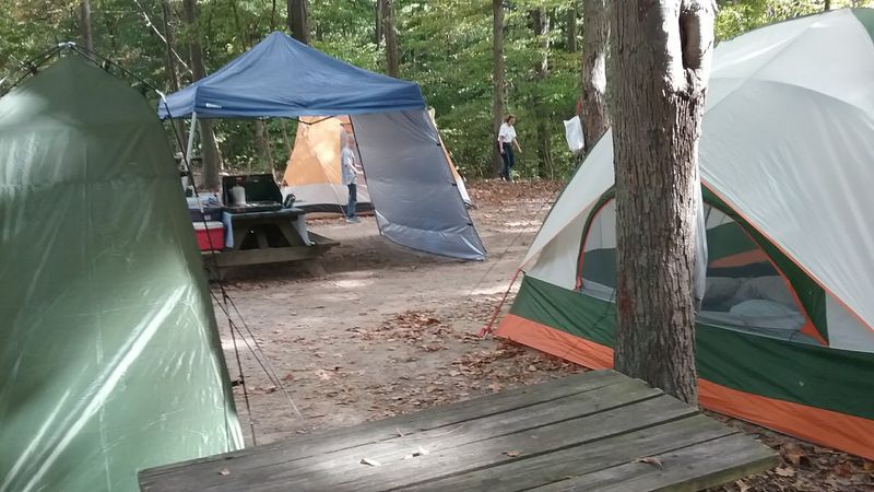 Comfortable Camping with Electric Hookups and Hot Showers