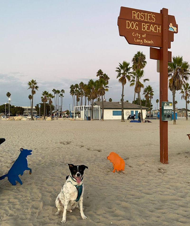 Rosie's Dog Beach – Long Beach
