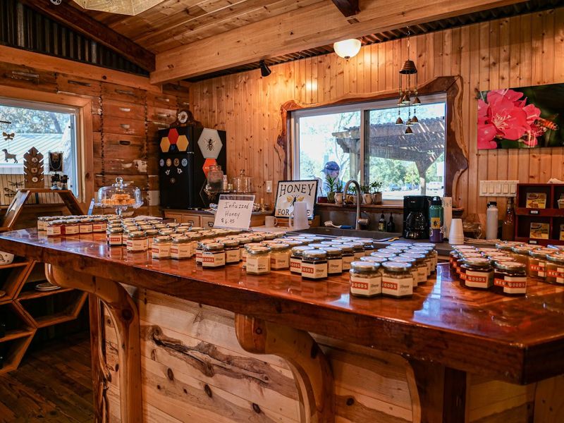 Taking Home Fresh Raw Honey From the Source