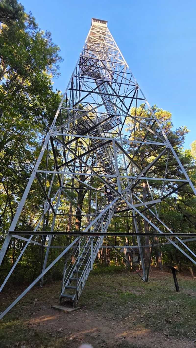 The Hickory Ridge Fire Tower and Its Breathtaking Views