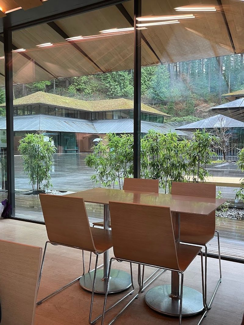 The Atmosphere That Slows Everything Down