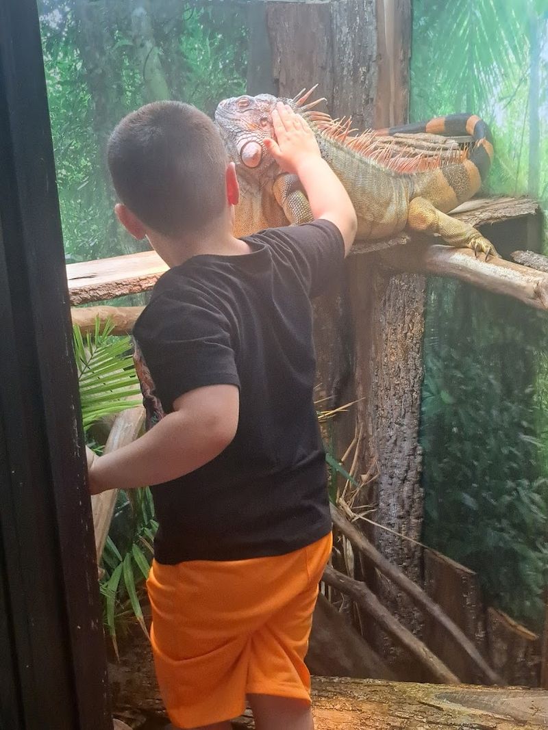 Birthday Parties and Private Events With a Reptile Twist