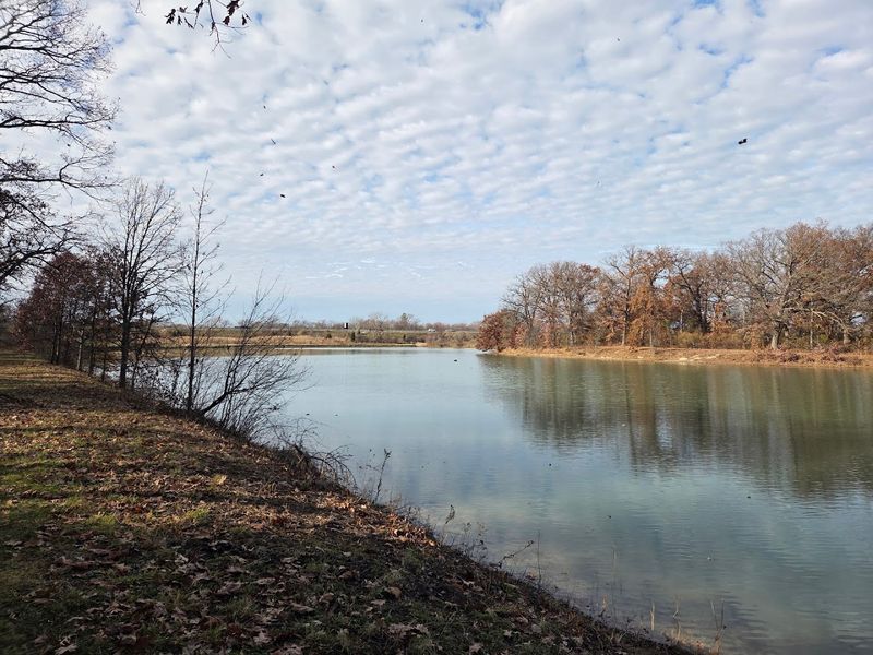Hobart Woodland at Robinson Lake Park