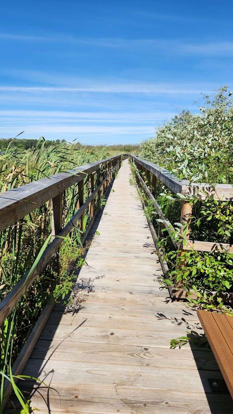 Pitcher Plants and Rare Bog Vegetation