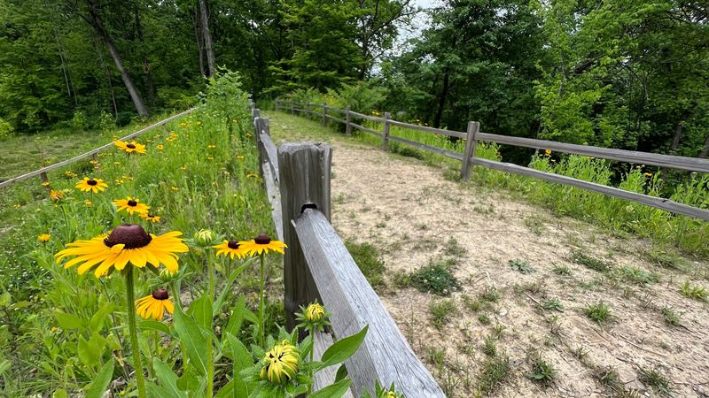 Wildlife Watching in a Designated Sanctuary
