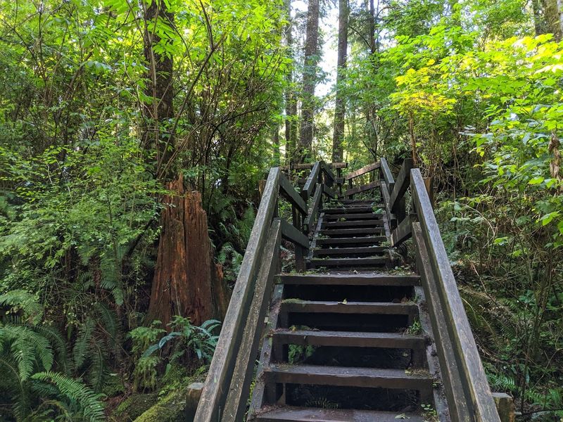 Tips for Making the Most of Your Visit