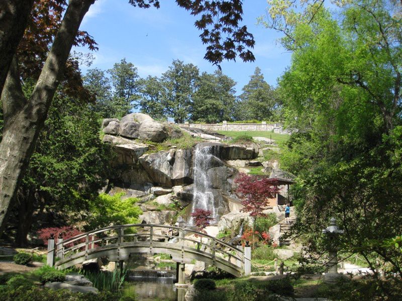 The Arboretum: A Living Library of Rare Trees