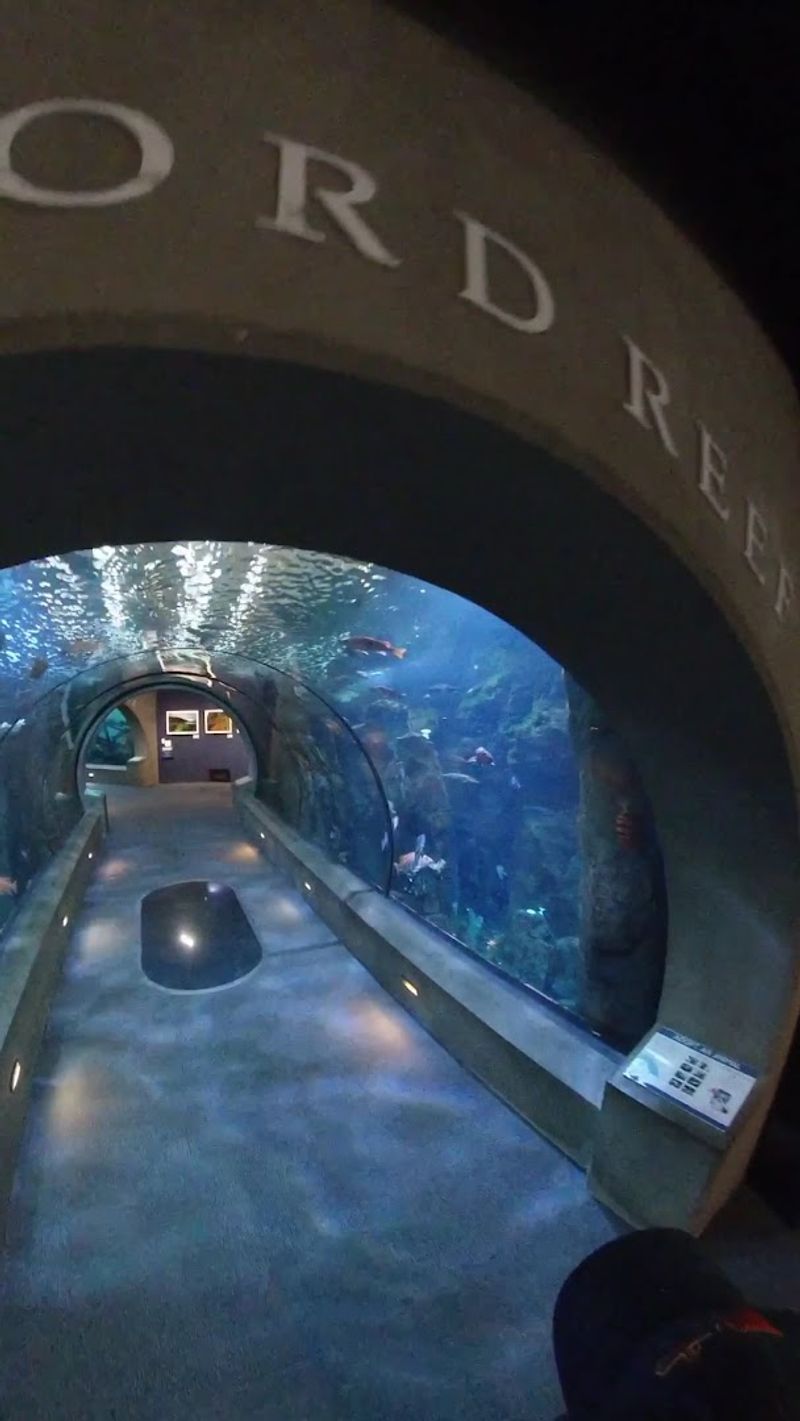 Jr. Aquarist Program for Young Explorers