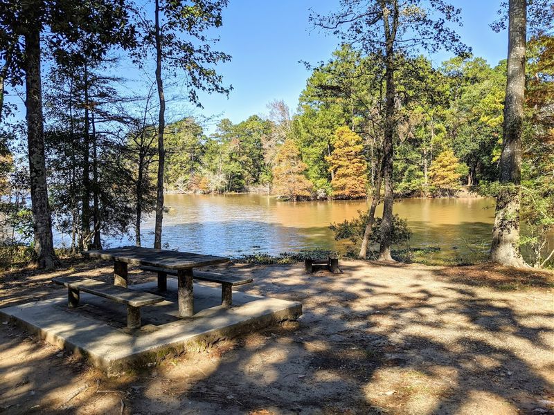 Fishing at the Lighted Piers and Campsites