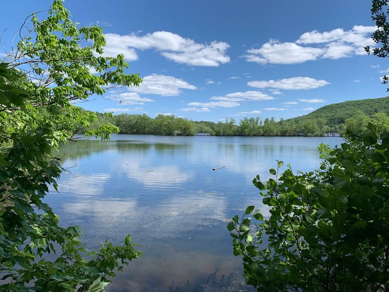 Fishing The Reservoir For Bass, Perch, And Giant Carp