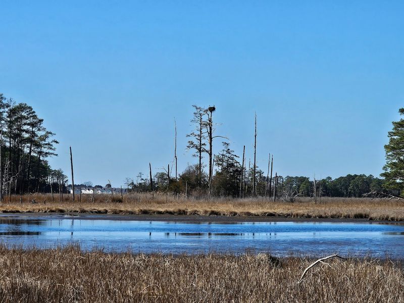 Birdwatching That Will Genuinely Surprise You