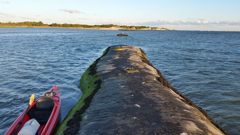 Clamming: The Most Satisfying Hands-On Activity You Did Not Expect