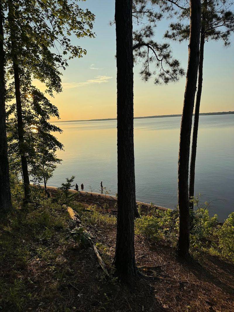 Fall Colors in the Pineywoods That Rival Anywhere in Texas