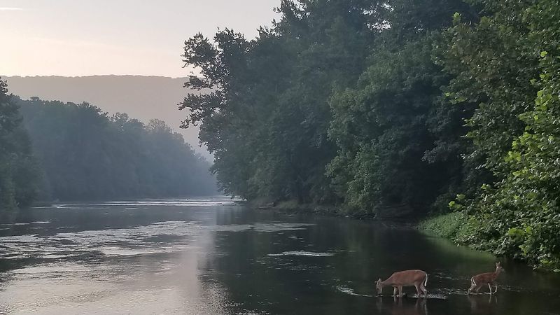 Fishing the Famous Bends