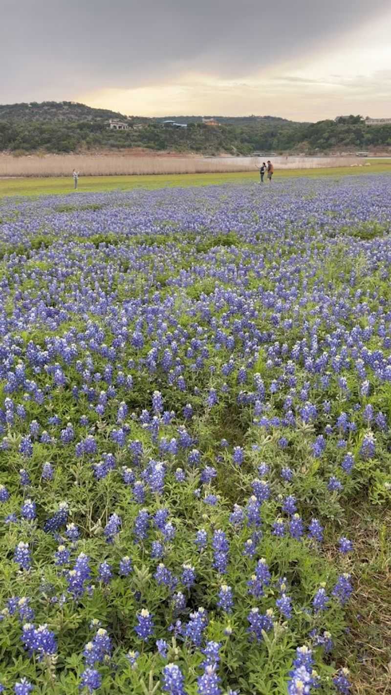 Horseback Riding Through Open Texas Terrain