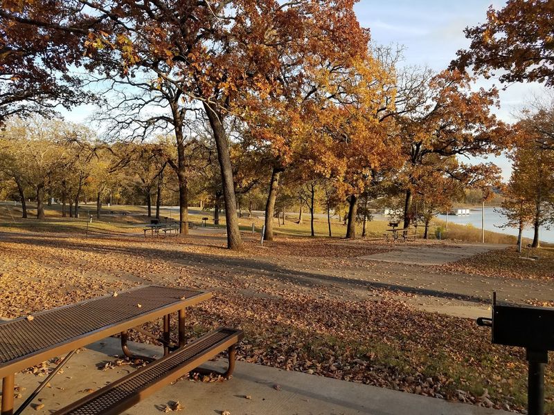 The Trees, the Hills, and the Changing Seasons