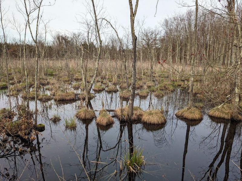 Practical Tips for Planning Your Visit