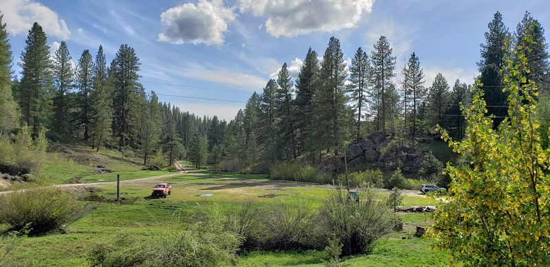 Arts, Crafts, and Horse Painting Bring Out the Creative Side