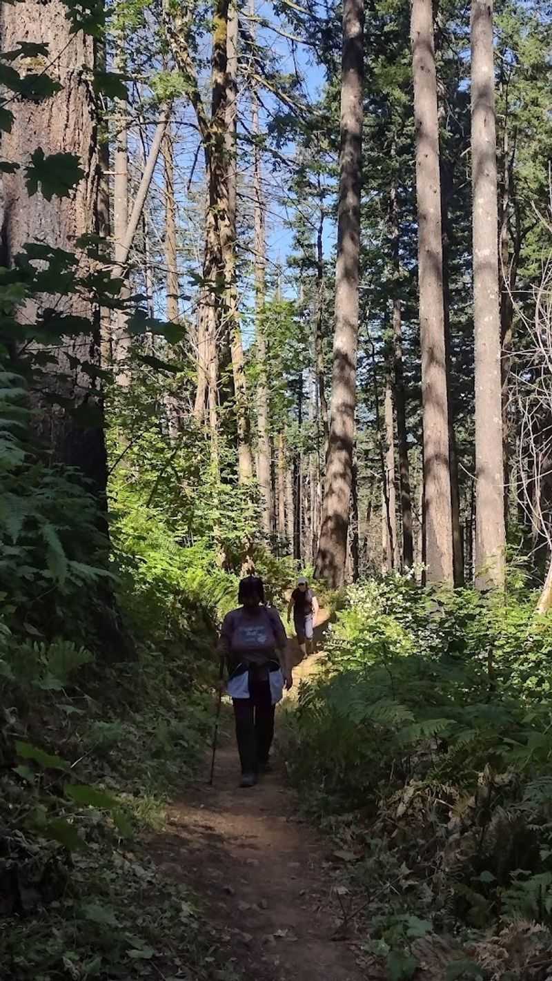 Gear and Packing Tips for the Hike