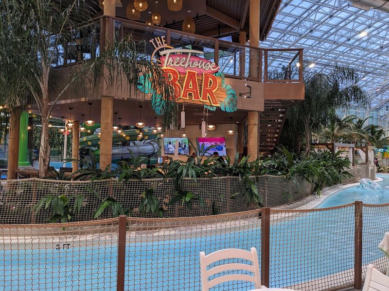 Dining Options Inside the Park