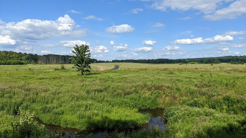 Prophetstown Trail 3