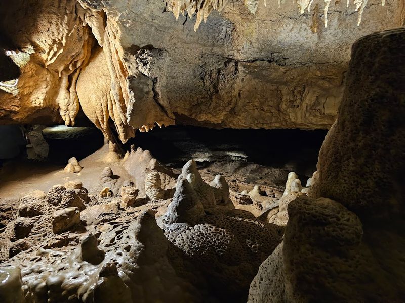Cave Wildlife and Ecosystem