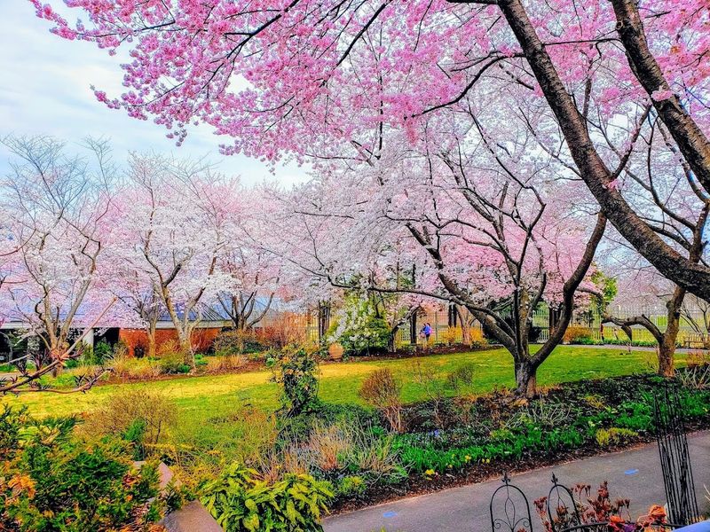 Ornamental Gardens in Bloom: Every Season Brings a New Surprise