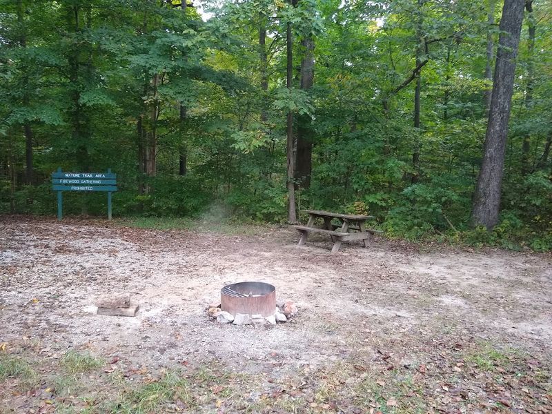 Camping Options That Fit Every Style and Budget