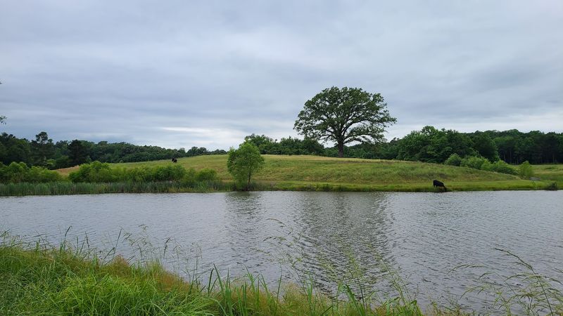 Flyin H Ranch Fishing Ponds
