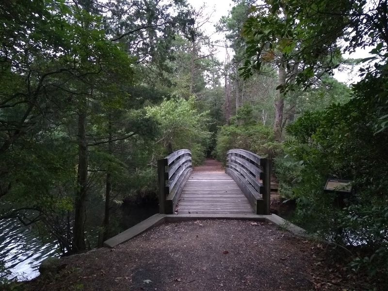 40-Plus Miles of Trails for Every Kind of Explorer