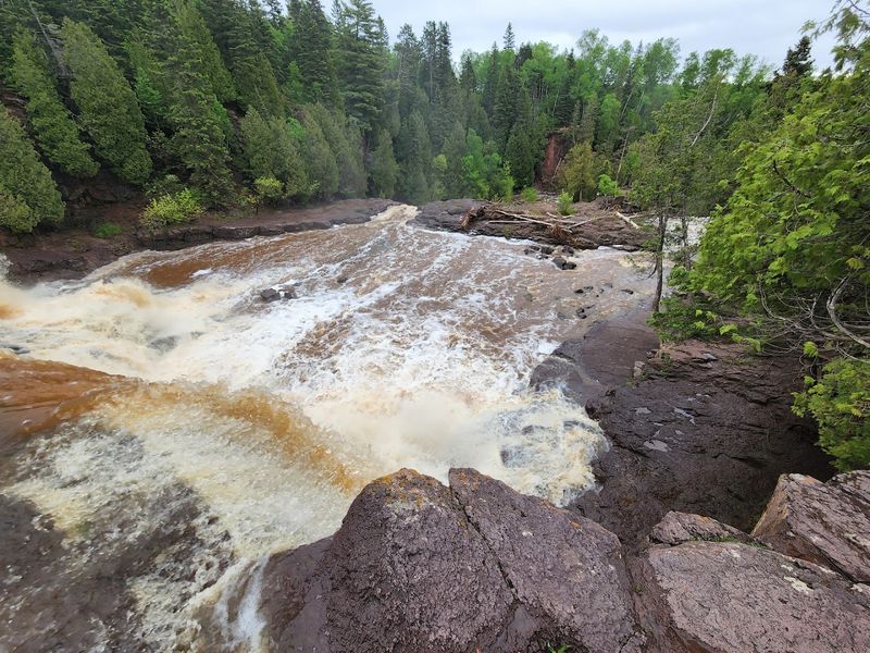 Wildlife and Nature You Might Spot Along the Way