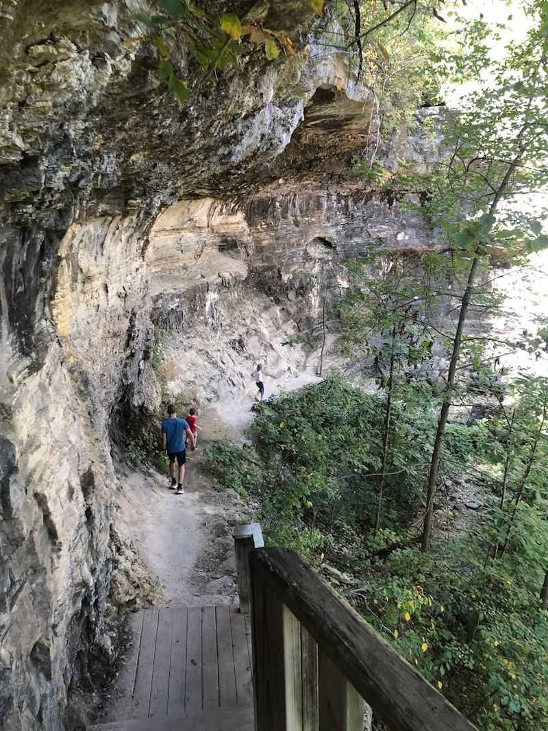 Wildlife, Plants, and Monarch Butterflies