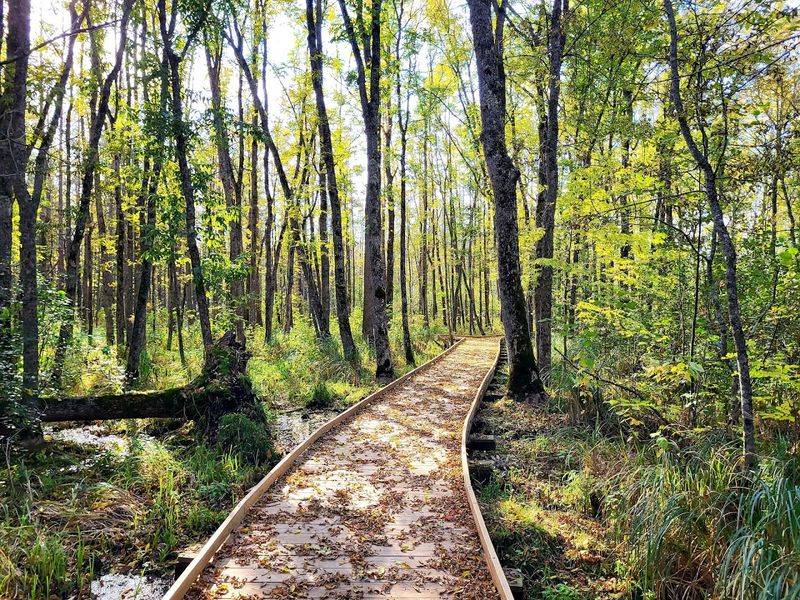 A Trail That Works for Almost Everyone