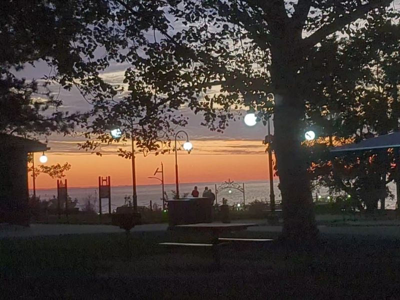 The Old Park Echoes Through What Remains