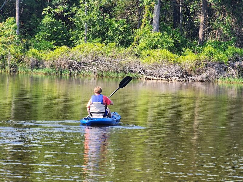 Kayaking and Canoeing on Calm Water