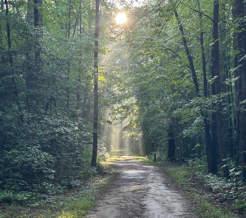 Swift Creek Trails: Flow Trail Magic for Every Skill Level