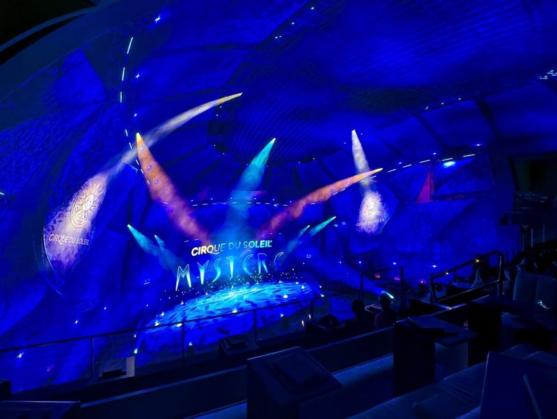 Virtual Reality Experiences: A Whole New World Mid-Visit