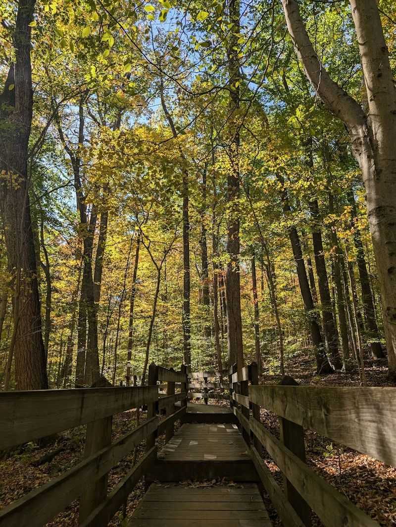 Trail #1, Shades State Park