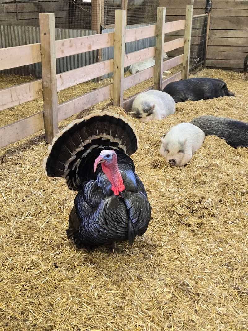 A Family Outing That Actually Means Something